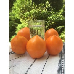 Мінусинські стакани оранжеві